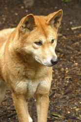 Similar image 8199526