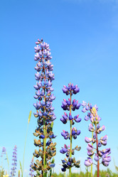 Similar image 8199545