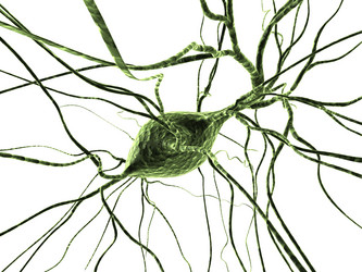 Similar image 8199582