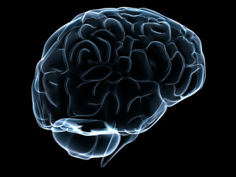 Similar image 8199589