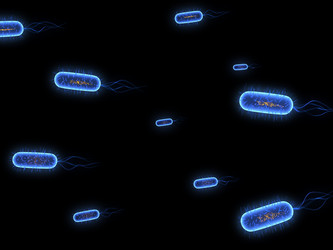 Similar image 8199635