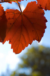 Similar image 8199648