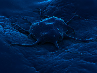 Similar image 8199676