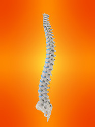 Similar image 8199678