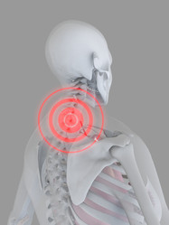 Similar image 8199684