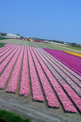 Similar image 8199714