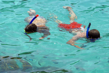 Similar image 8199719