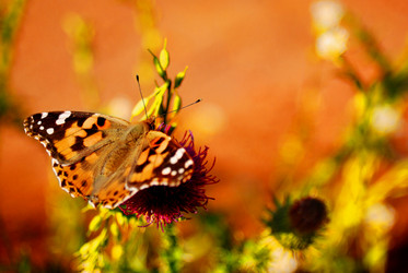 Similar image 8199770