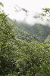 Similar image 8199772