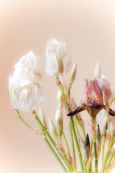 Similar image 8199810