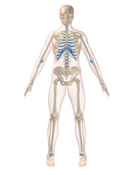 Similar image 8199816