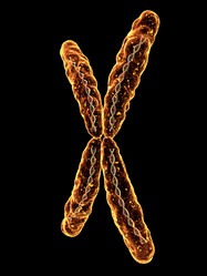 Similar image 8199828