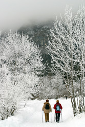 Similar image 8199839