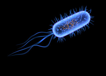 Similar image 8199869