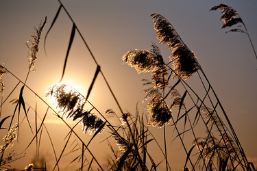 Similar image 8199871