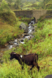 Similar image 8199908