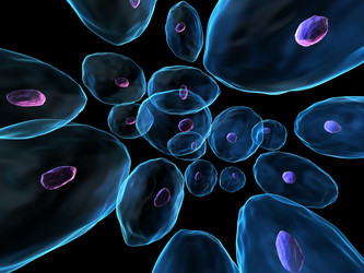 Similar image 8199972