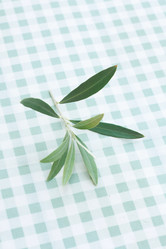 Similar image 8199977