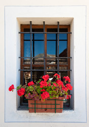 Similar image 8199982