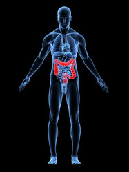 Similar image 8200000