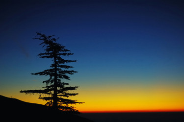 Similar image 8200008