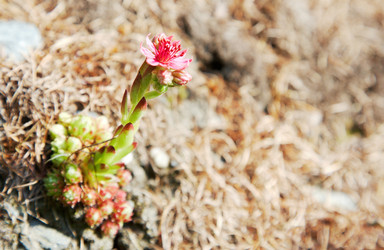 Similar image 8200013