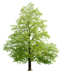 Similar image 8200037