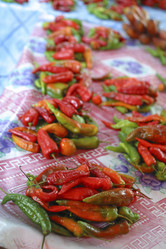 Similar image 8200053