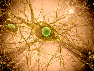 Similar image 8200065