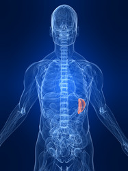 Similar image 8200068