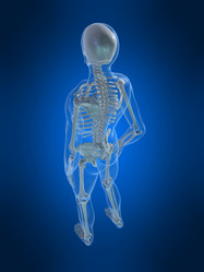 Similar image 8200082