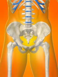 Similar image 8200157