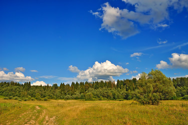 Similar image 8200197