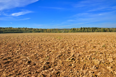 Similar image 8200199