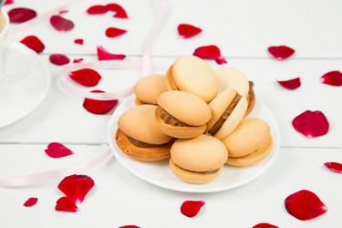 Similar image 8200231