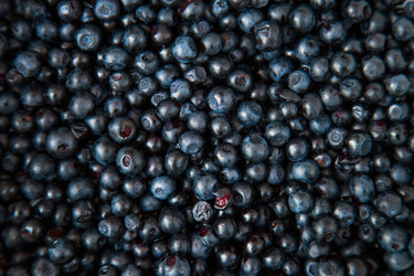 Similar image 8200245