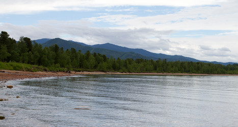 Similar image 8200254