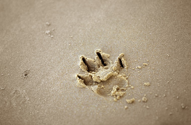 Similar image 8200264