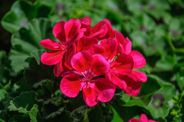 Similar image 8200287