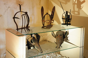 Similar image 8200317