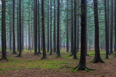 Similar image 8200320