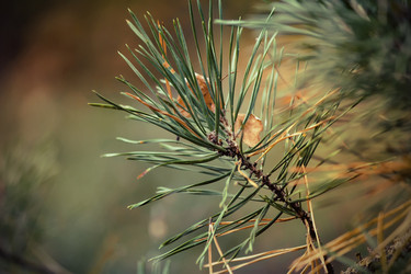 Similar image 8200362