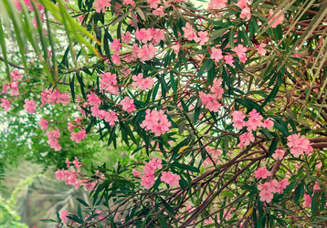 Similar image 8200402