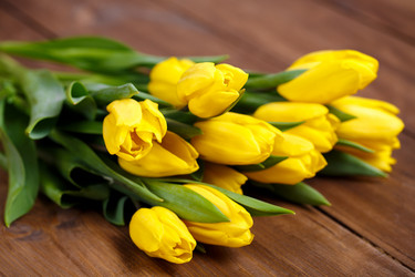 Similar image 8200558