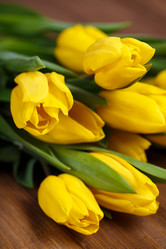 Similar image 8200562