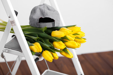 Similar image 8200589