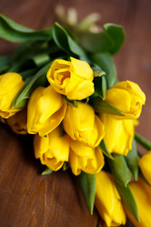 Similar image 8200618