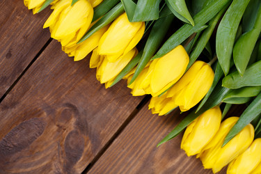 Similar image 8200626