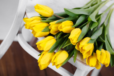 Similar image 8200707