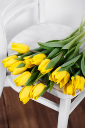 Similar image 8200709